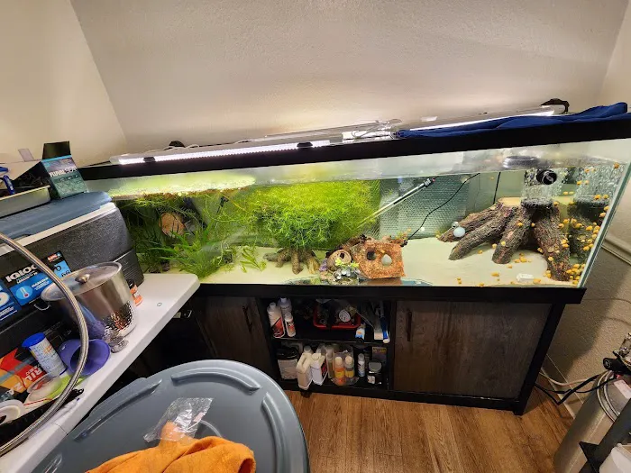 JJ Aquarium 1