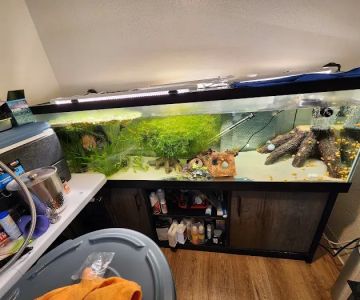 JJ Aquarium
