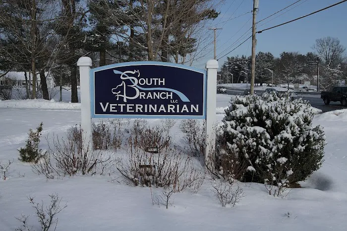 South Branch Veterinary Services 12