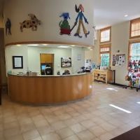 South Branch Veterinary Services ico