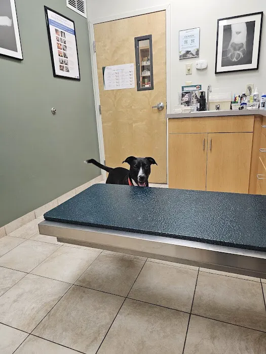South Branch Veterinary Services 12
