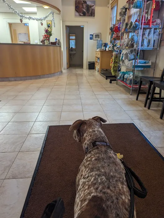 South Branch Veterinary Services 12