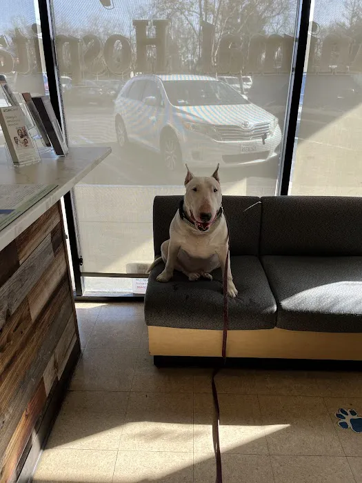 Petco 5