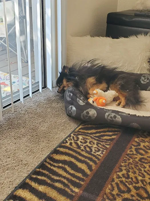 Petco 1
