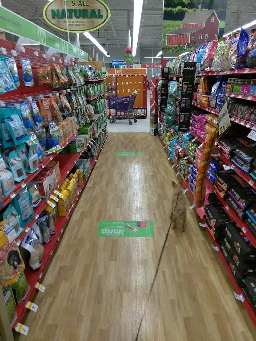 Petco 6