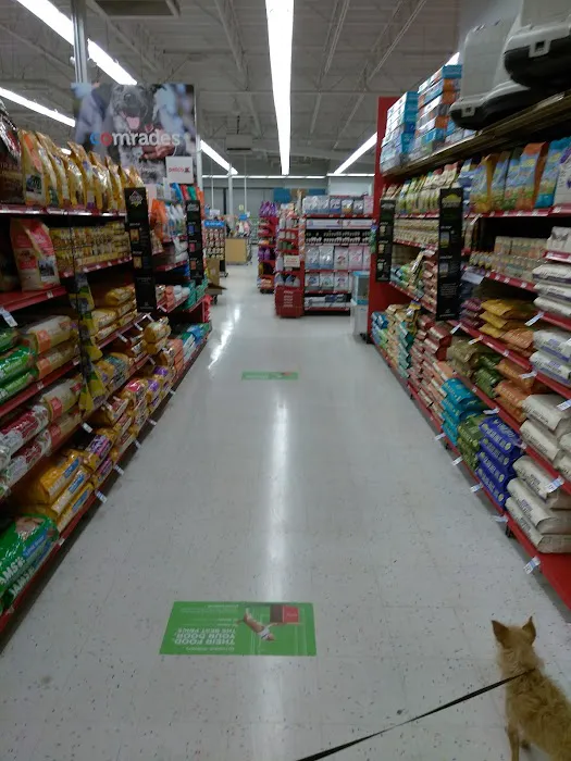 Petco 3