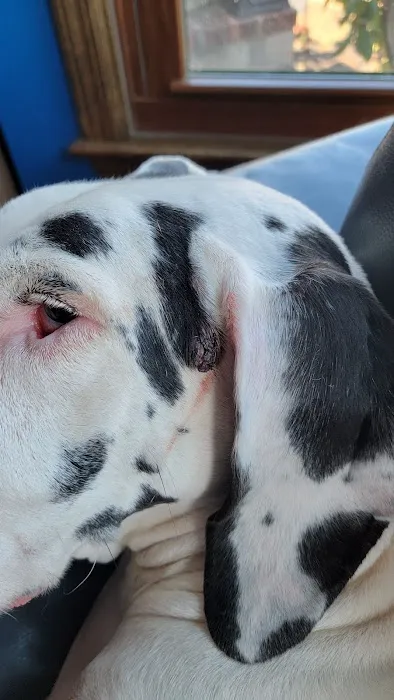 Round Valley Animal Hospital 12