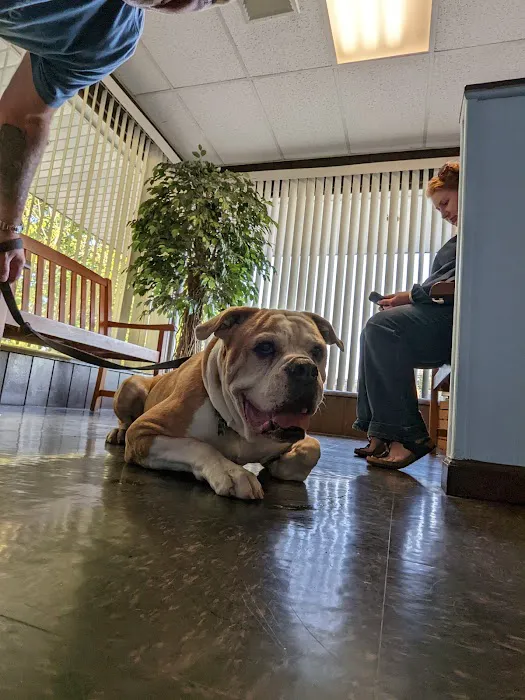 Round Valley Animal Hospital 12
