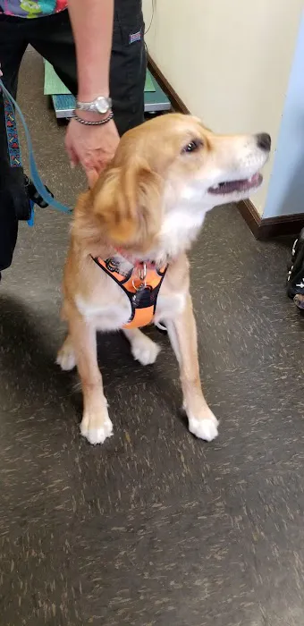 Round Valley Animal Hospital 12