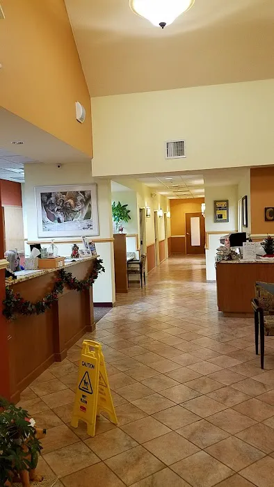 Crown Veterinary Specialists 12