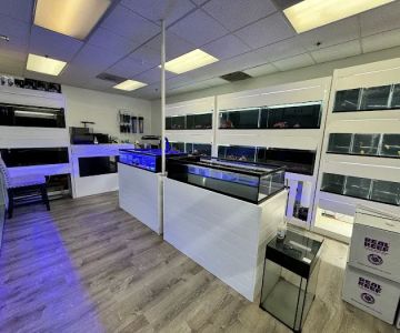 Reef Lab Aquatics