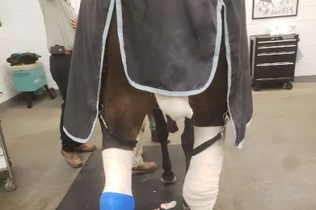 Running S Equine Veterinary
