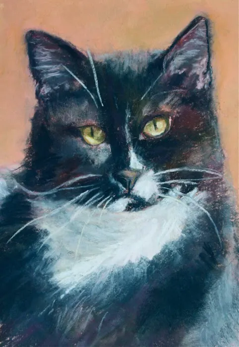Stirling Veterinary Hospital 12