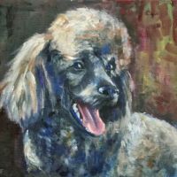 Stirling Veterinary Hospital ico