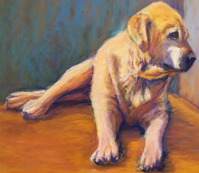 Stirling Veterinary Hospital 12