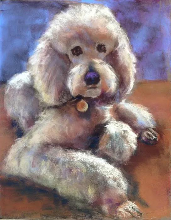 Stirling Veterinary Hospital 12