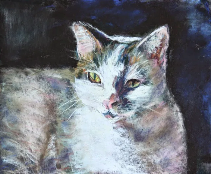 Stirling Veterinary Hospital 12