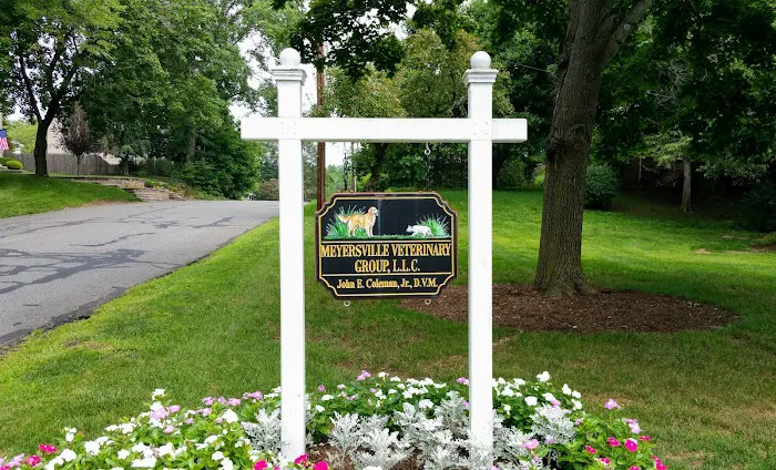 Meyersville Veterinary Group 12