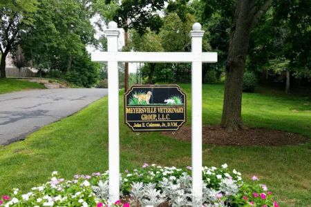 Meyersville Veterinary Group