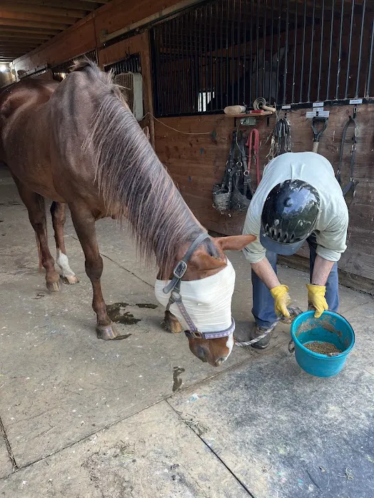 Equiheart Veterinary Services, LLC 2
