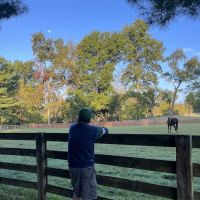 Equiheart Veterinary Services, LLC ico
