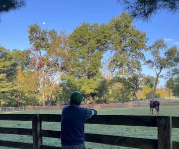 Equiheart Veterinary Services, LLC