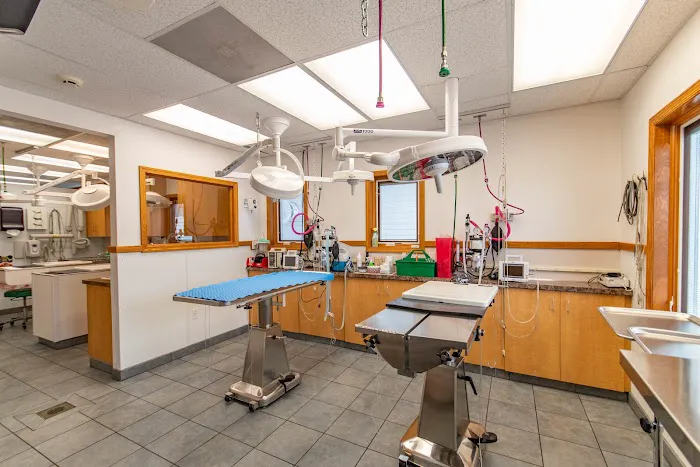 Hamilton Animal Care 12