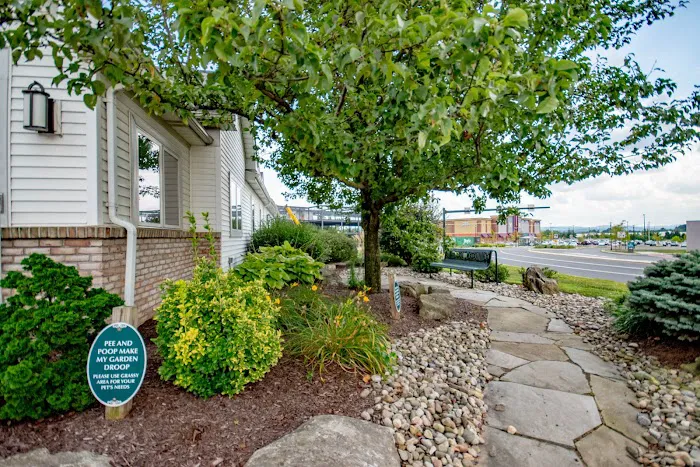 Hamilton Animal Care 12