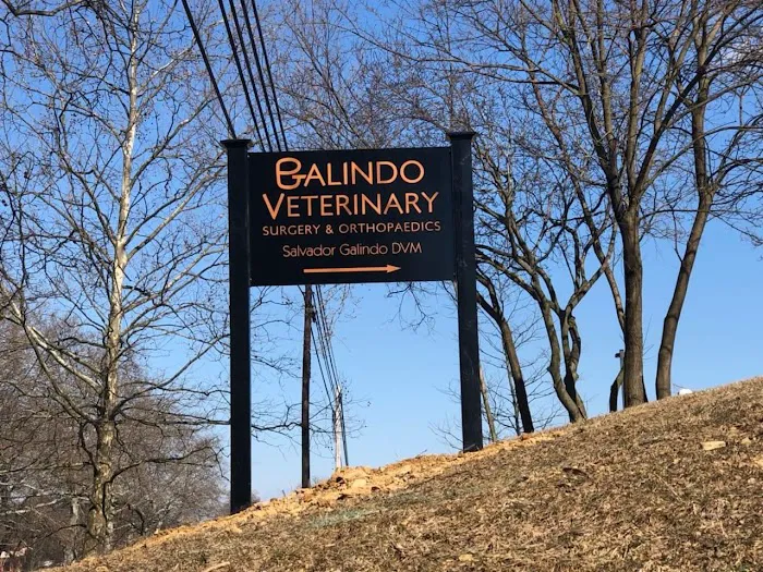 Galindo VSO 12