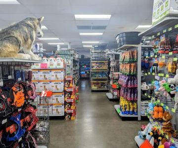 Carter's Pet Mart Inc