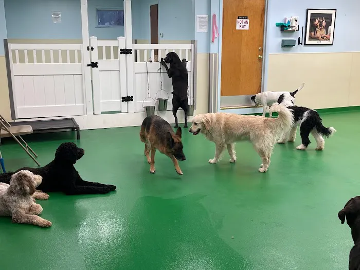 Maple Hills Veterinary Hospital 12