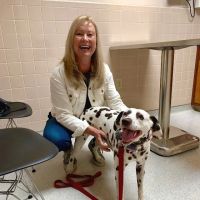 Maple Hills Veterinary Hospital ico