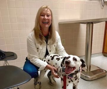 Maple Hills Veterinary Hospital