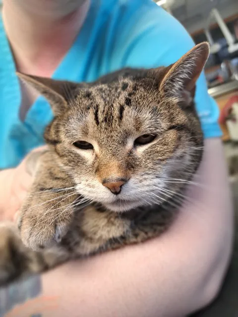 Maple Hills Veterinary Hospital 12
