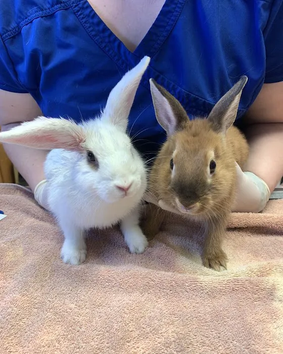 Maple Hills Veterinary Hospital 12