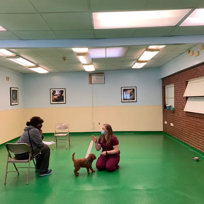 Maple Hills Veterinary Hospital 12