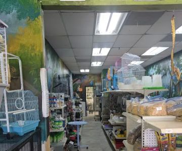 Hacienda La Piedad pet shop