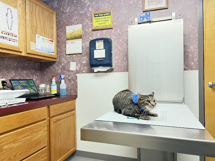 West Valley Animal Hospital 12