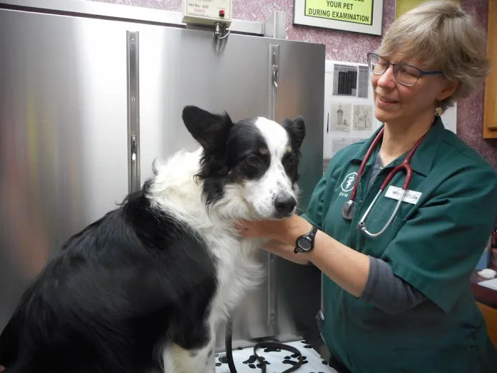 West Valley Animal Hospital 12