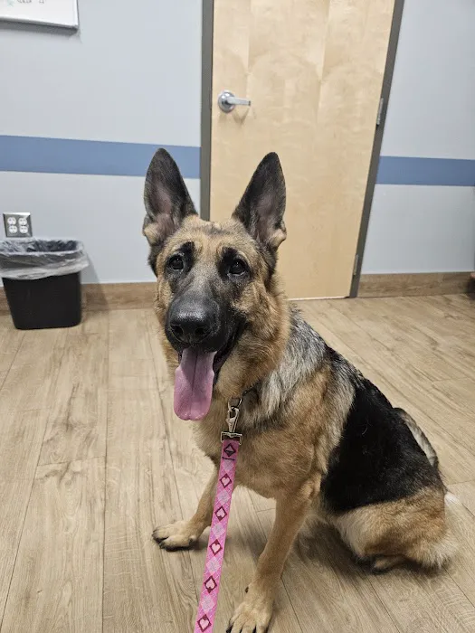 Eastern Pennsylvania Veterinary Medical Center 12