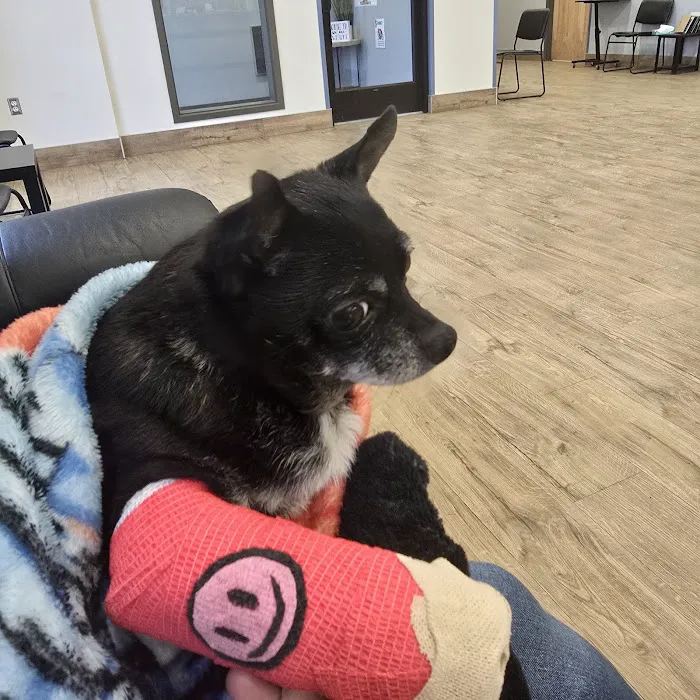 Eastern Pennsylvania Veterinary Medical Center 12