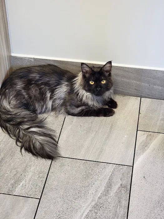 Hamilton Animal Care of the Lehigh Valley 12