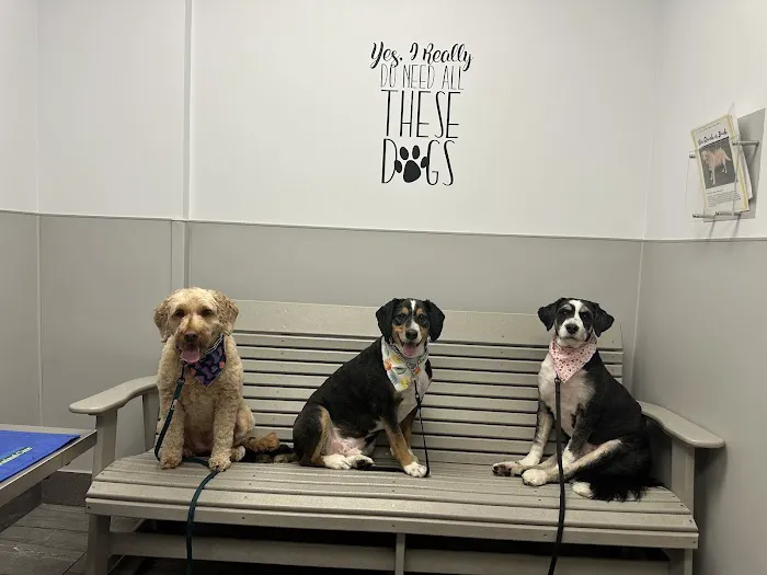 Hamilton Animal Care of the Lehigh Valley 12