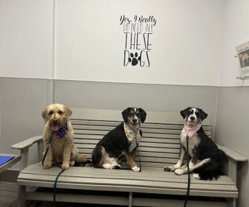 Hamilton Animal Care of the Lehigh Valley