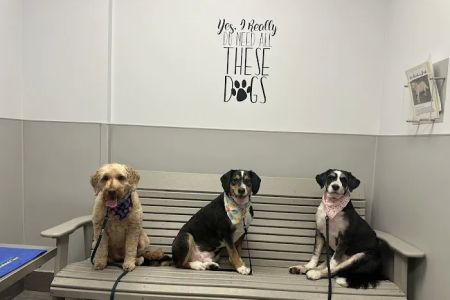 Hamilton Animal Care of the Lehigh Valley
