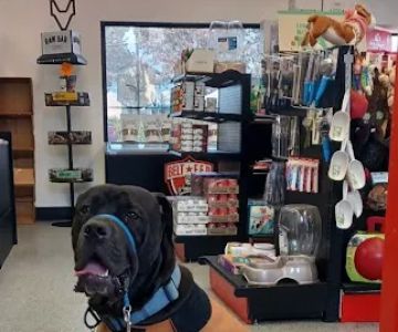 Belt Fed Kennel Supply