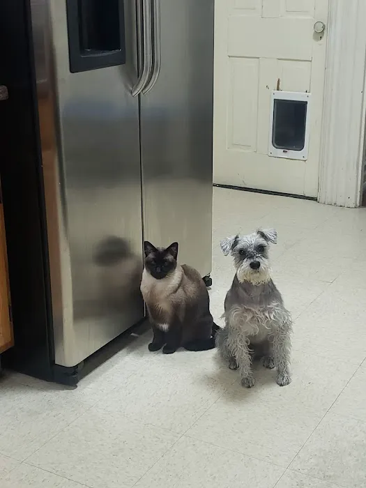 Simmonds Veterinary Hospital LLC 12