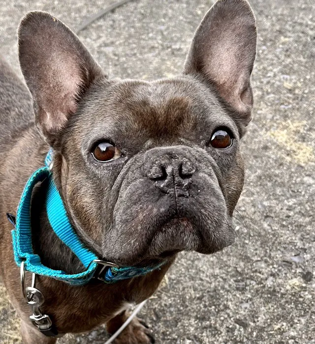 Simmonds Veterinary Hospital LLC 12