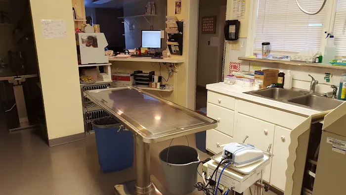 Allentown Cat Clinic, PC 2