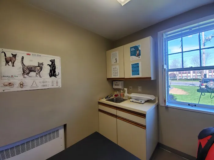 Allentown Cat Clinic, PC 1